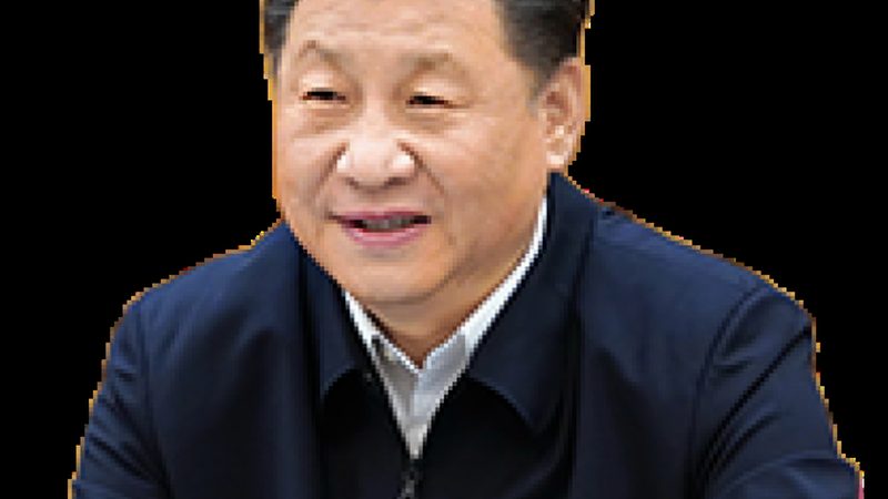 环保型塑料助剂：助力绿色制造的未来之路